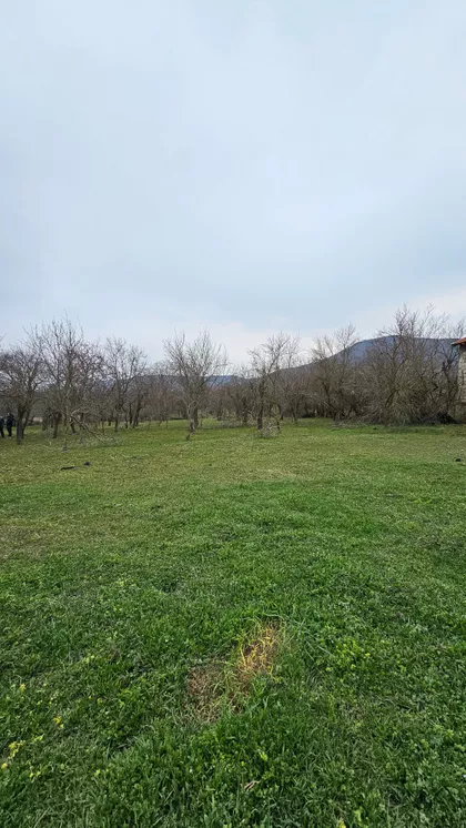 Partizanska 7 | 4zida.rs