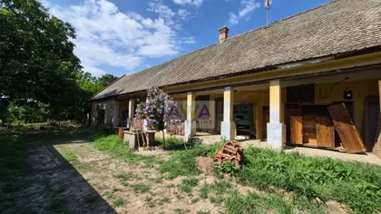 Telečka | 4zida.rs