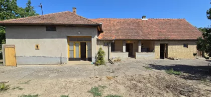 Pačir | 4zida.rs