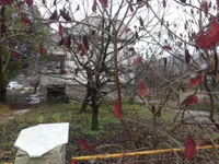 Majur, Okolne lokacije, Jagodina | 4zida.rs