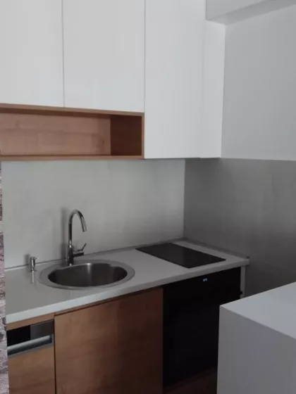 Zmaj Ognjena Vuka | 4zida.rs