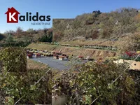 Plac | 4zida