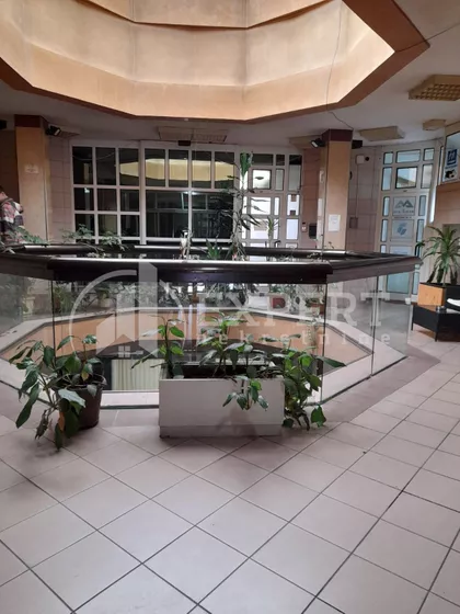 Cara Dušana | 4zida.rs