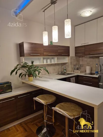 ANĐE RANKOVIĆ | 4zida.rs