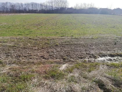 Nemanjina | 4zida.rs