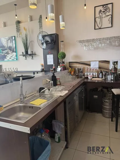 Rotkvarija | 4zida.rs