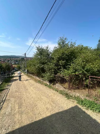 Veroljuba Verka Radenkovića | 4zida.rs