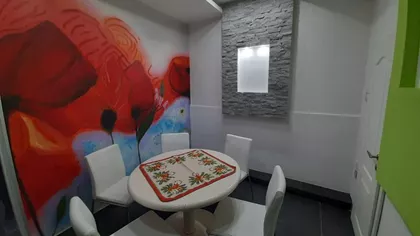 Novi Sad - Centar | 4zida.rs