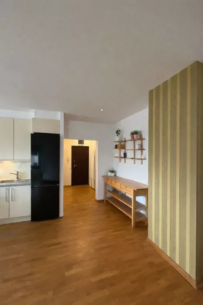 Dr Ivana Ribara | 4zida.rs