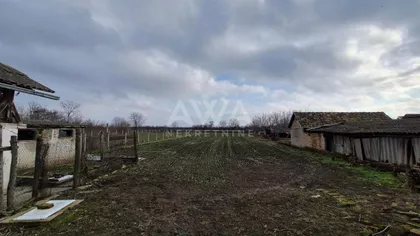 Srpski Miletić | 4zida.rs