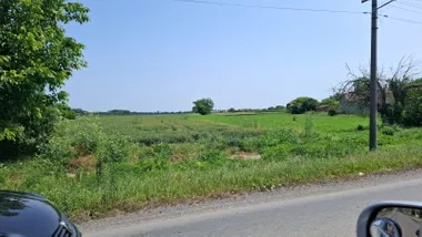 Glušci