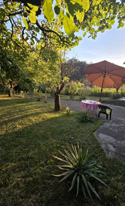 Dragiše Vitoševića | 4zida.rs