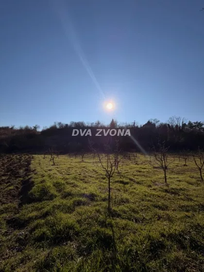 Čortanovci | 4zida.rs