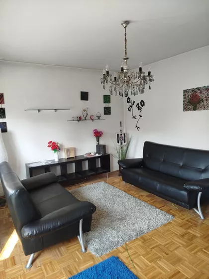 Žarka Bokuna | 4zida.rs