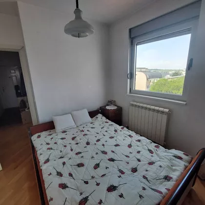 Cankareva | 4zida.rs