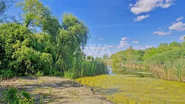 Bezdan