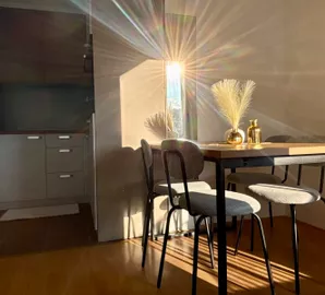 Palilula, Gradske lokacije, Niš, 1.5 stan | 4zida.rs