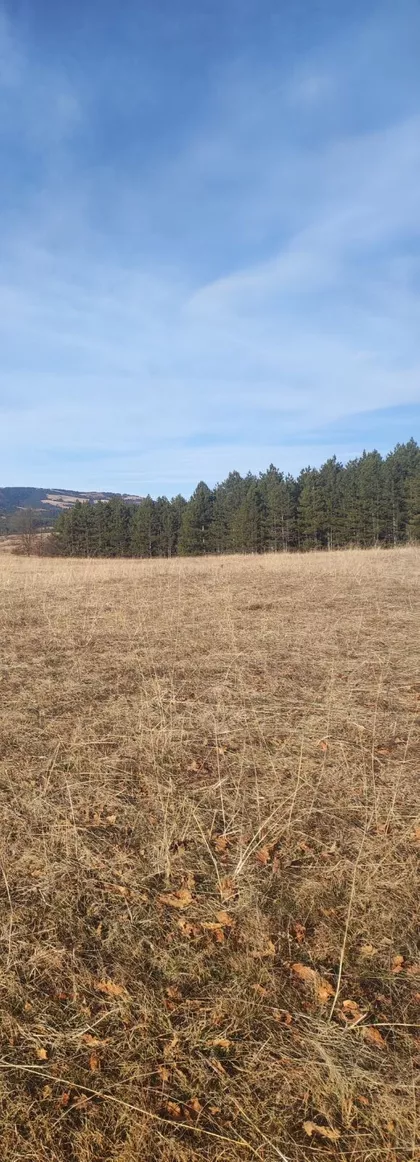 Tometino Polje | 4zida.rs