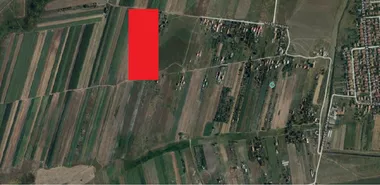 Bagljaš