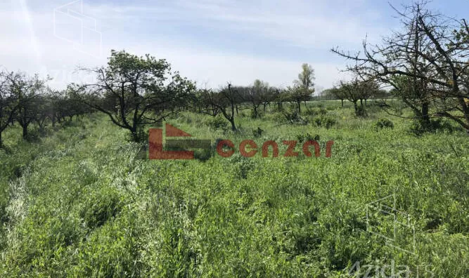 Poljoprivredno zemljište | 4zida