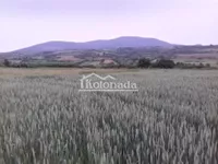 Poljoprivredno zemljište | 4zida