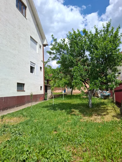Kosanička 6 | 4zida.rs