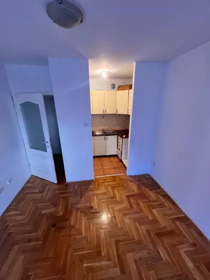 Dr Svetislava Kasapinovića | 4zida.rs