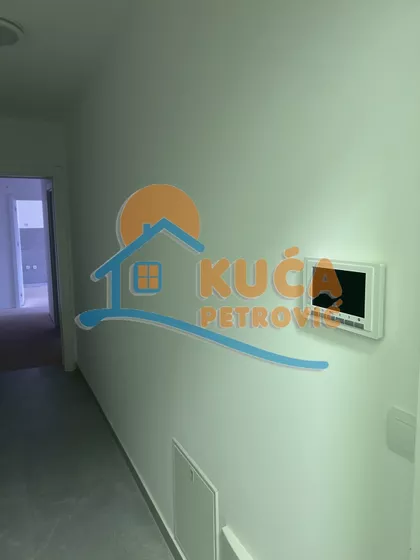 Cara Dušana | 4zida.rs