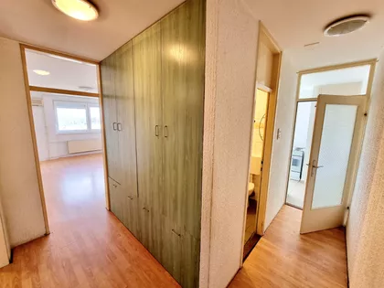 Nade Dimić 21 | 4zida.rs