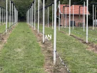 Inđija, Okolne lokacije, Krčedin | 4zida.rs | 4zida.rs