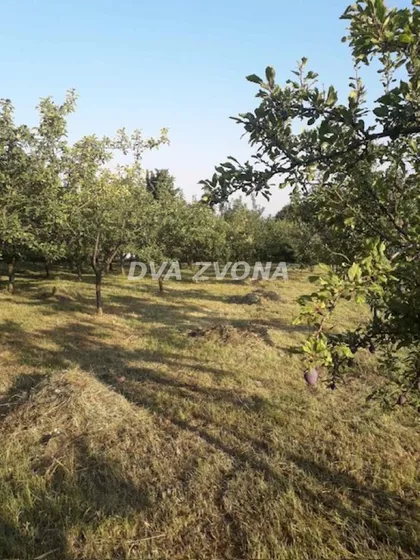 Krušedol Prnjavor | 4zida.rs