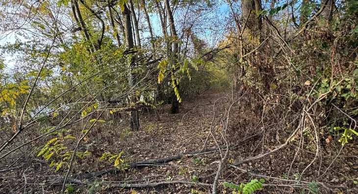 Poljoprivredno zemljište | 4zida