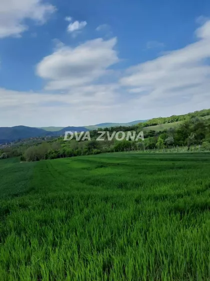 Vrdnik | 4zida.rs