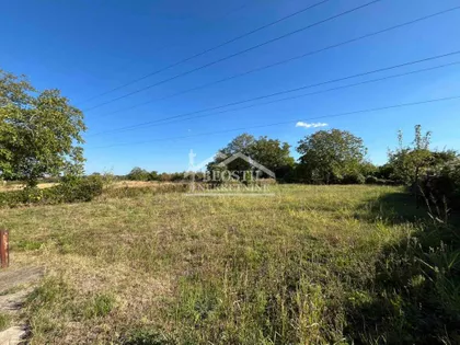 Balkanska | 4zida.rs