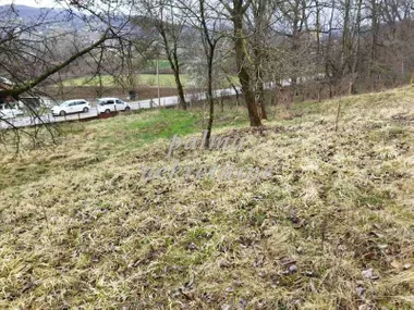 Grošnica