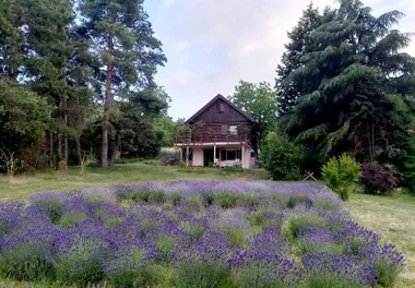 Vinogradarska