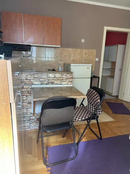 Dr Svetislava Kasapinovića | 4zida.rs