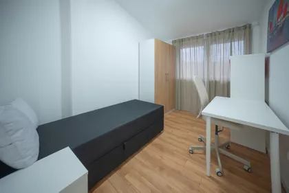 Roze Luksemburg | 4zida.rs