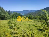 Zaovine, Tara | 4zida.rs