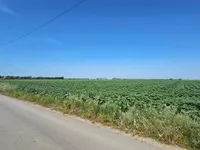 Ugrinovci, Zemun opština, Beograd | 4zida.rs