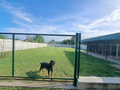 Begeč | 4zida.rs