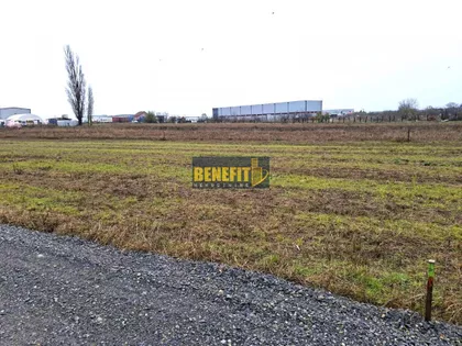 Dobanovci | 4zida.rs