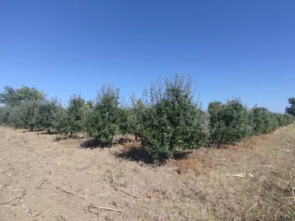 Vikend Naselje Mutalj bb | 4zida.rs