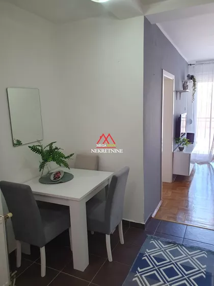Vojvode Šupljikca | 4zida.rs
