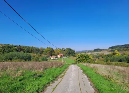 Pavla Radomana | 4zida.rs