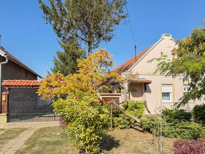 Petra Drapšina | 4zida.rs