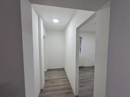 Opština Novi Sad, Petrovaradin | 4zida.rs
