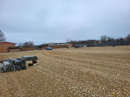 Nadežde Petrović | 4zida.rs