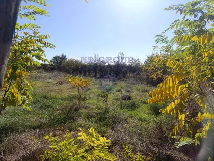 Ravno Selo | 4zida.rs