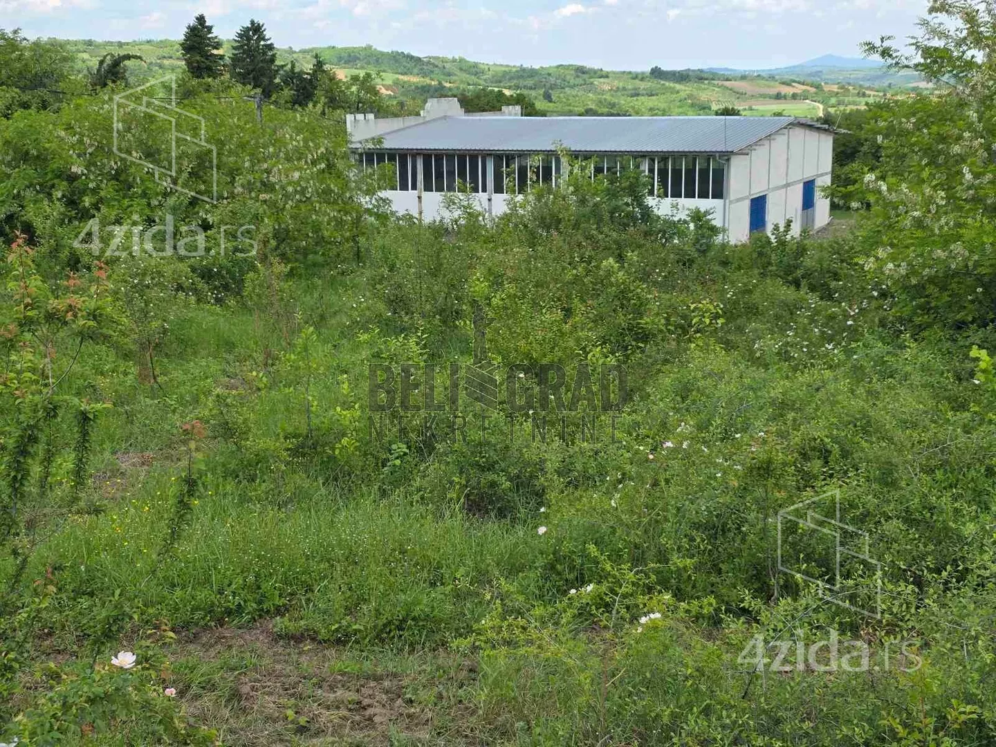Plac | 4zida